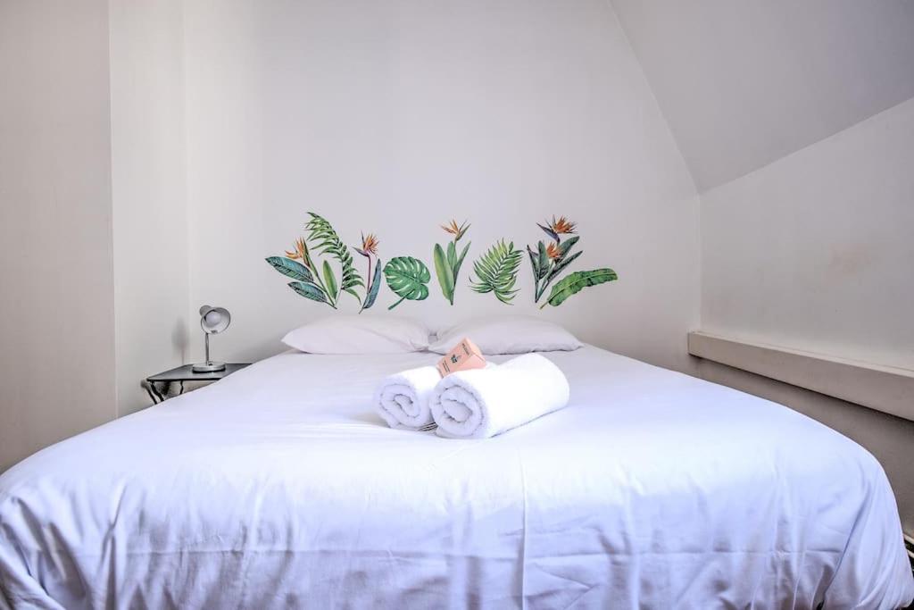 Le Jardin Suspendu Charme & Calme En Centre Ville Périgueux Eksteriør bilde